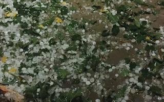 El granizo llegó a Niquivil y hubo lluvias intensas en el este sanjuanino