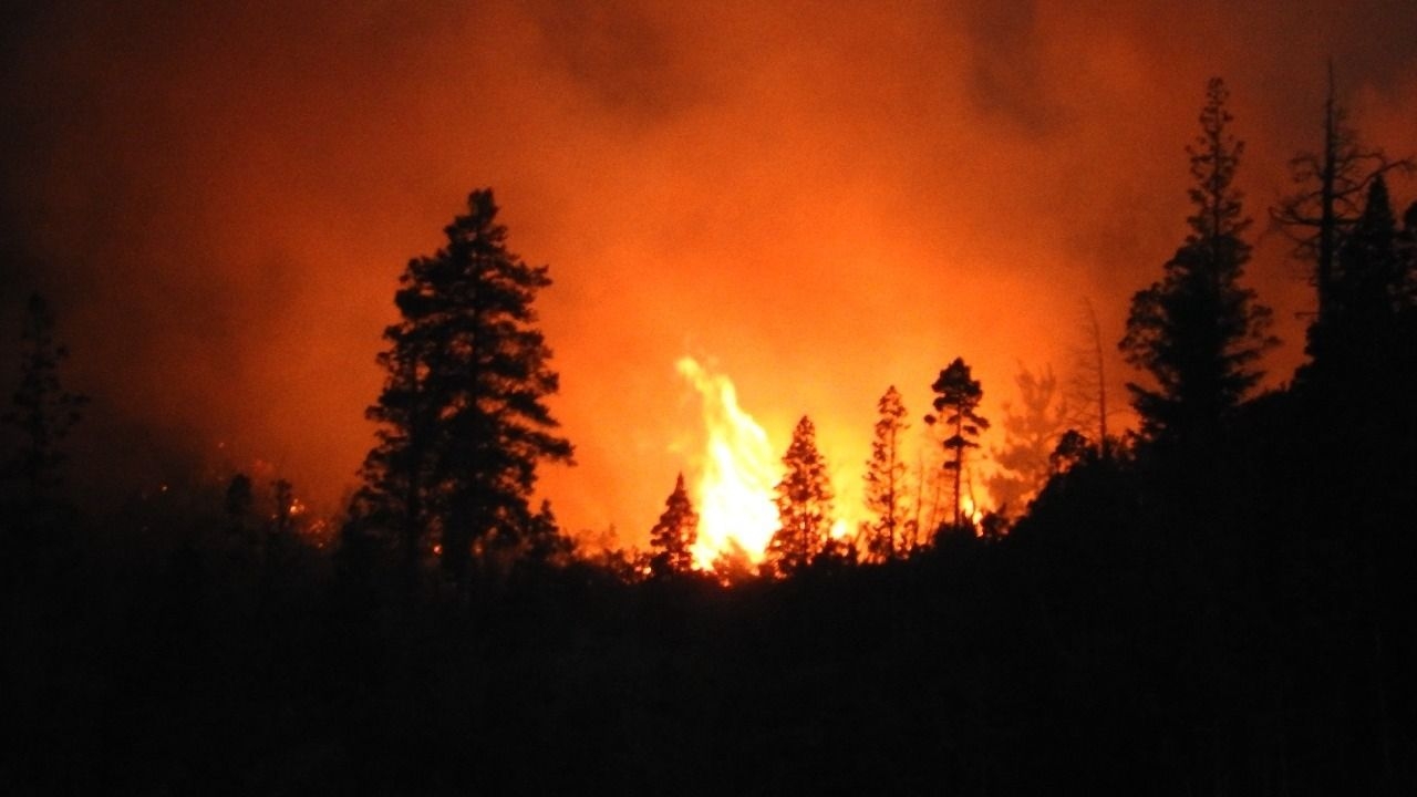 Fuego en la Patagonia: ajustes, persecución y desinterés del Gobierno ...