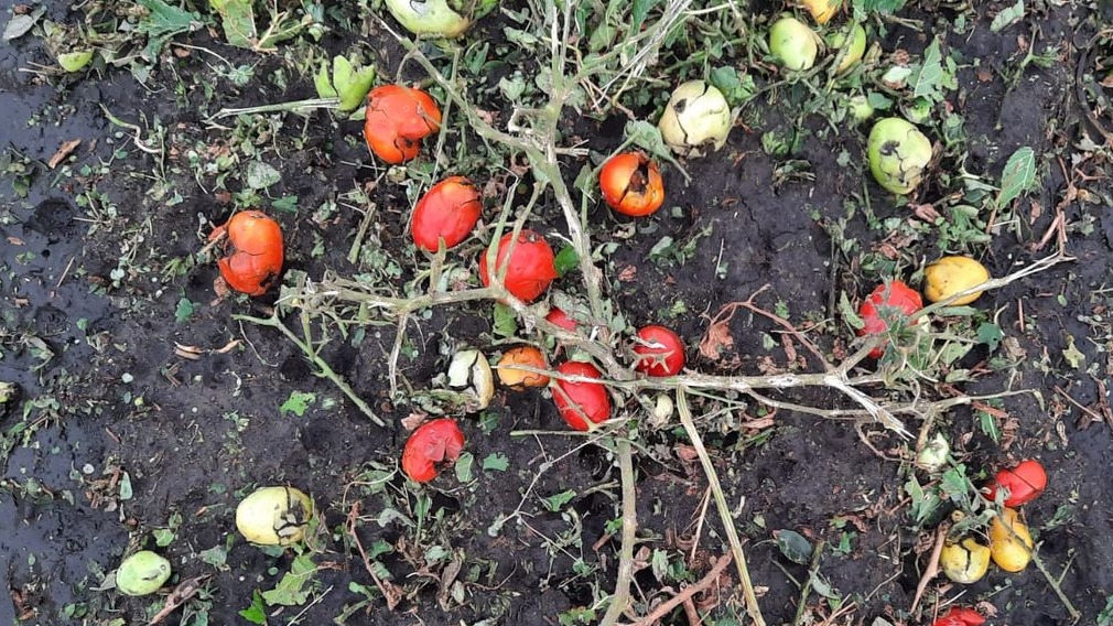 Contingencia climática en San Juan: el Gobierno amplió créditos y subsidios para damnificados