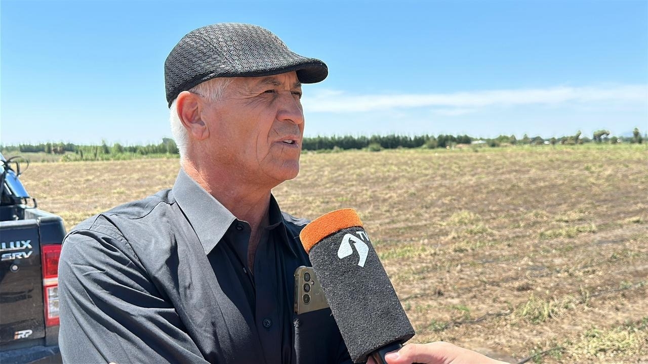 “Ser chacarero es tener resiliencia”: la dura realidad de un productor sanjuanino