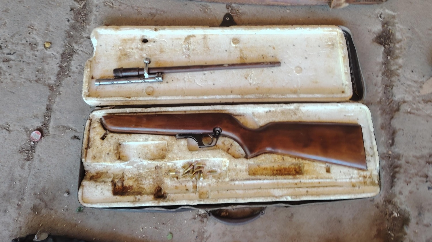 Secuestraron armas de fuego y aves en cautiverio que están protegidas por ley 