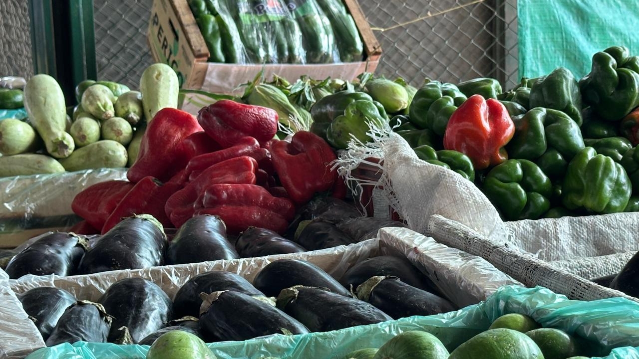 Productores advierten aumentos de hasta el 100% en verduras tras el temporal
