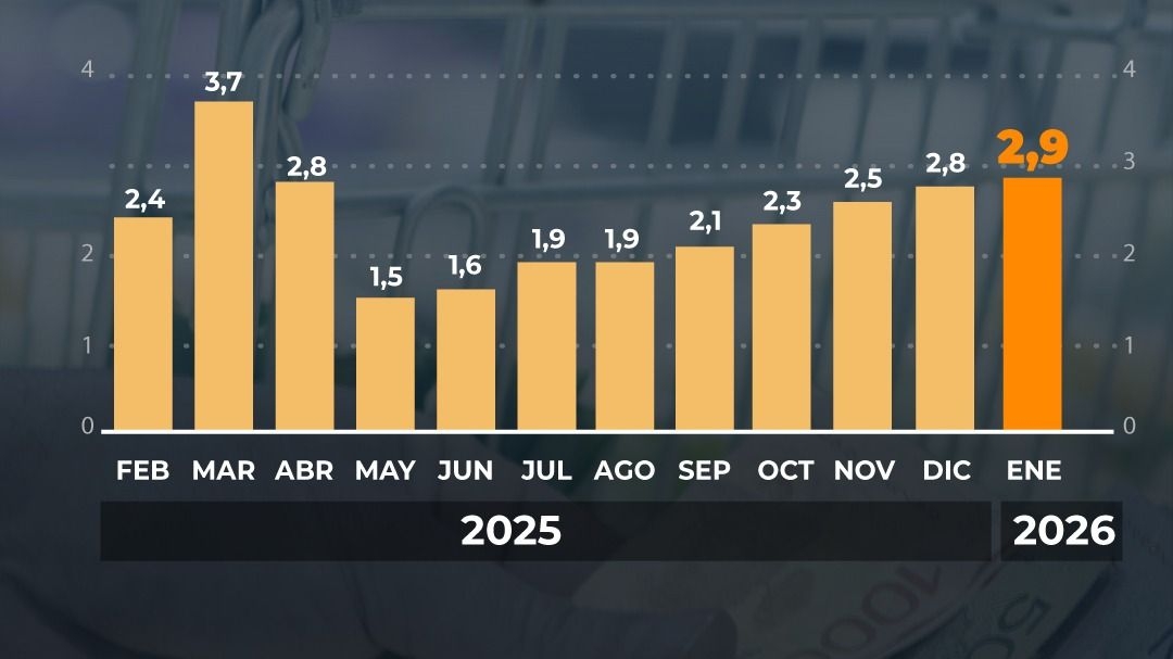 La inflación de enero fue 2,9% y acumuló 32,4% en doce meses