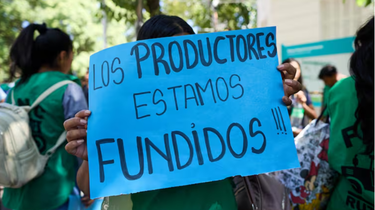 Viñateros mendocinos regalaron uva en protesta por los bajos precios