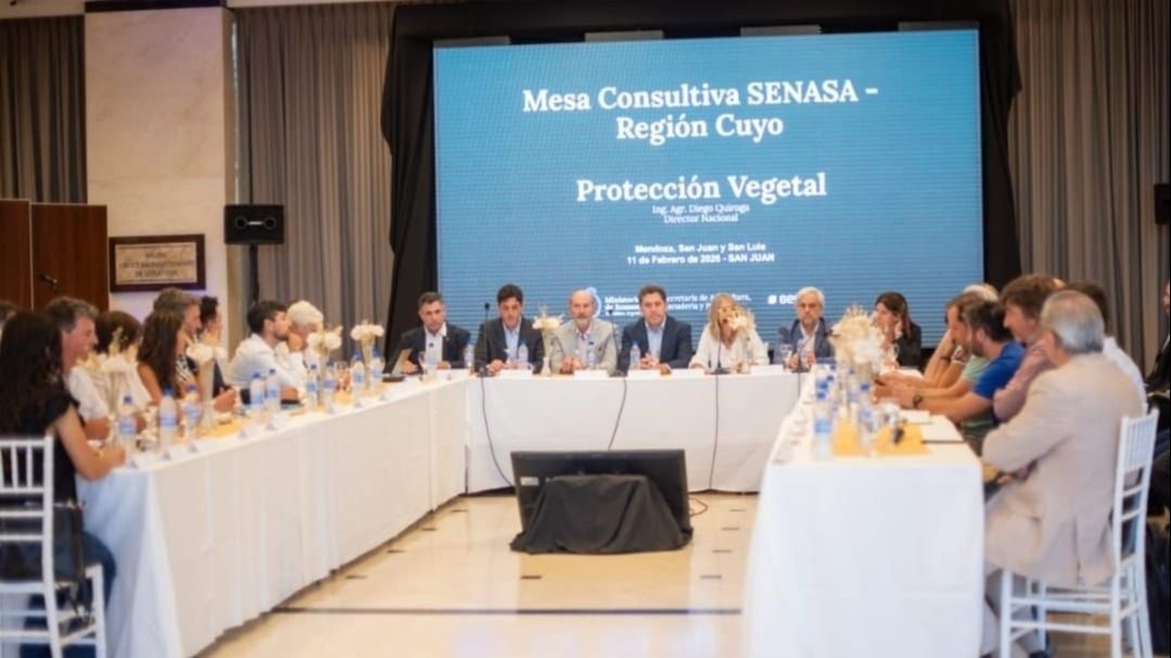 El Senasa autorizó a San Juan a empacar uva en fresco bajo el parral