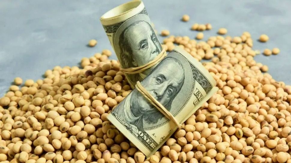 Argentina lidera las exportaciones de maní, aceite de soja y jugo de limón