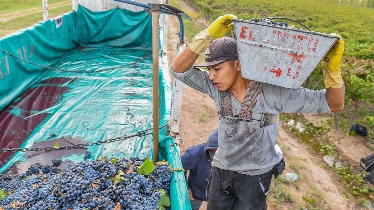 Gobierno ampliará los créditos para productores sanjuaninos
