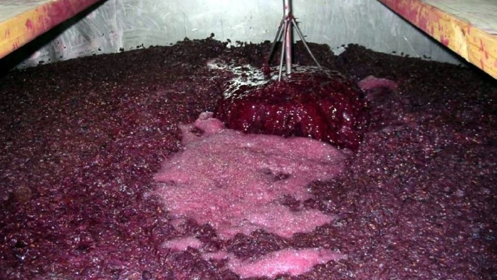 Nueva Ley del Mosto: la industria ve un escenario distinto y crece el optimismo