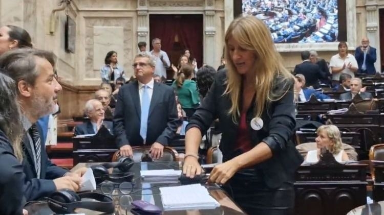 Diputados: Una legisladora desconectó los cables de los taquígrafos