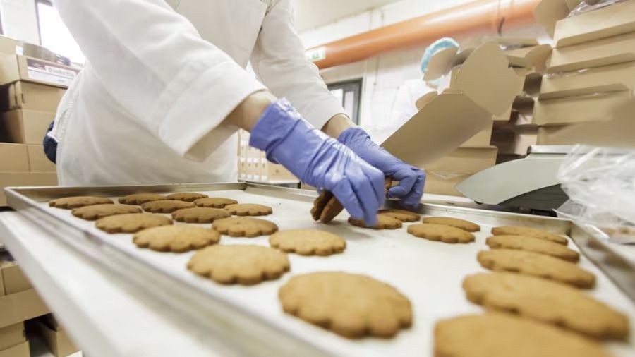 Dilexis empezó a normalizar el pago de salarios a su personal