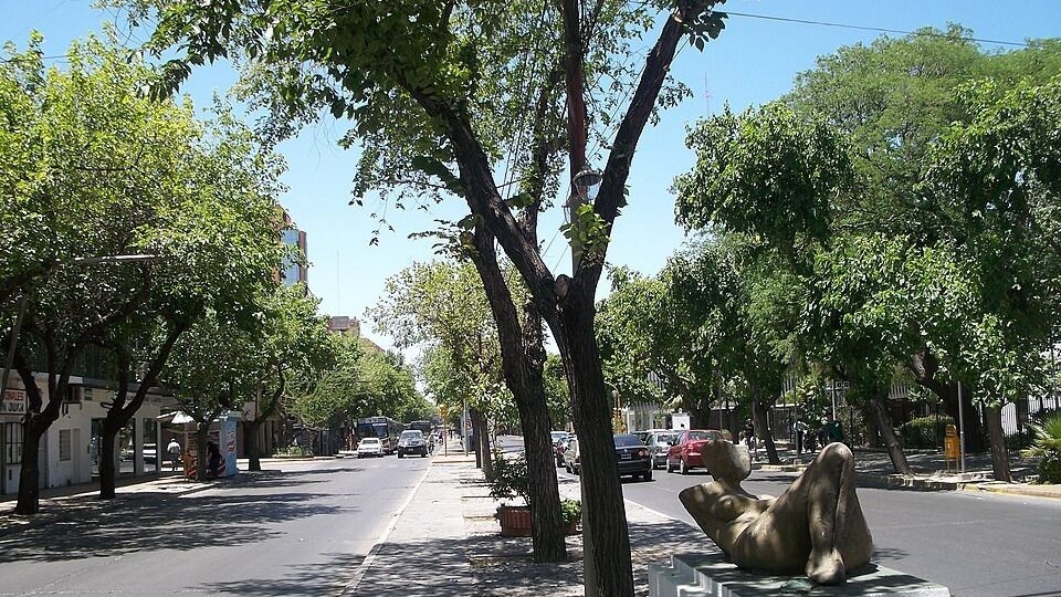 Más de 1.500 ejemplares recuperan el acceso al riego en la Avenida Del Libertador