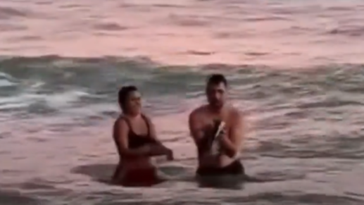 Sacaron un pingüino del mar para una foto y causaron indignación 