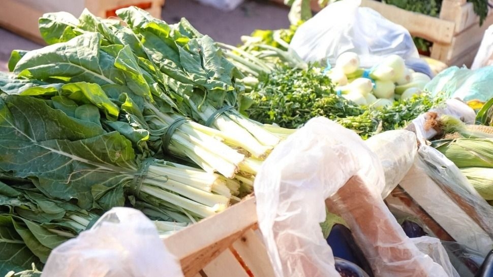 Hortalizas hasta 100% más caras y productores al límite por deudas