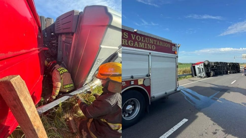 Pergamino: volcó camión con ganado, murió el chofer y vecinos carnearon animales