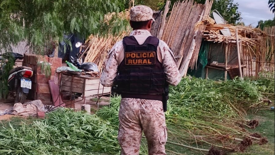 La Policía Rural intervino bajo dos medidas judiciales otorgadas por el Juzgado de Paz de Sarmiento.