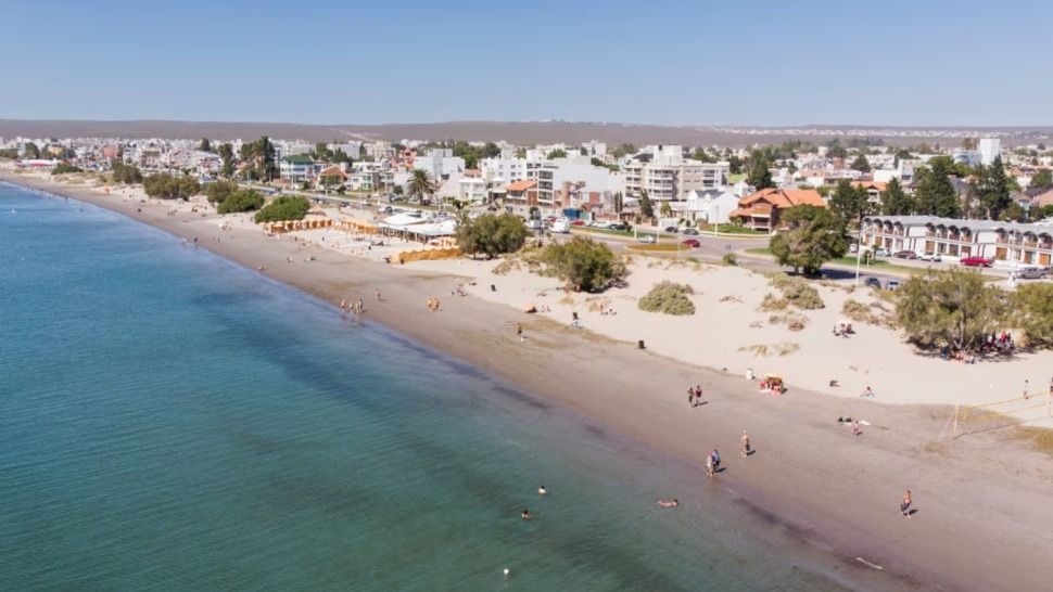 Verano en Puerto Madryn: delfines, lobos marinos y más actividades