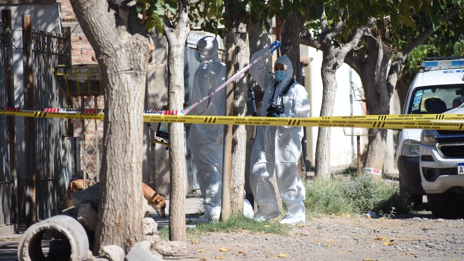 Crimen de Rosalba Albarracín: buscan prorrogar la investigación y analizar una prueba genética