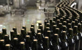 San Juan elevó a Nación un pedido urgente por regulaciones del vino