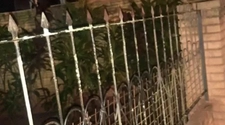 Detuvieron a un joven de 27 años intentando robar rejas en Rivadavia