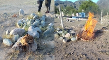 Trabajadores encontraron brujería en el cementerio de Valle Fértil
