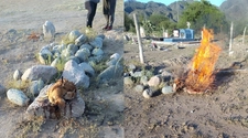 Trabajadores encontraron brujería en el cementerio de Valle Fértil