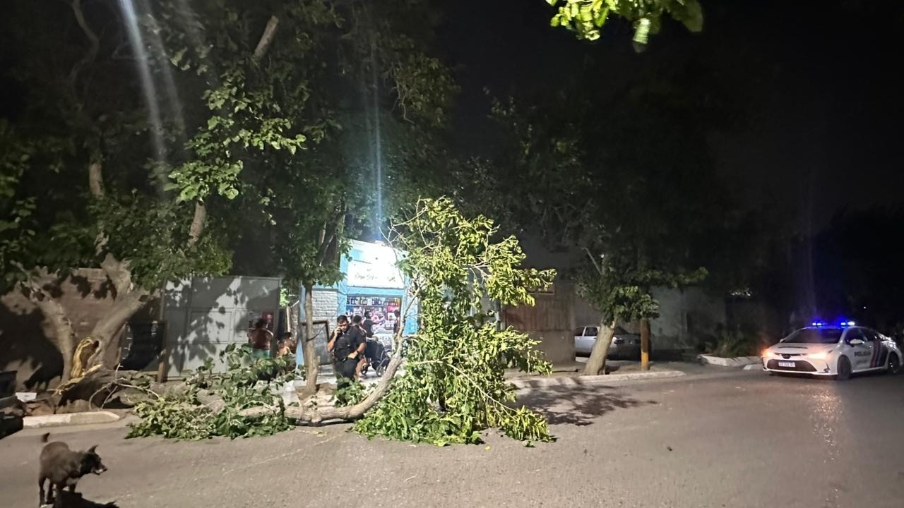 Motociclista de 22 años fue golpeado por una rama que cayó por el viento