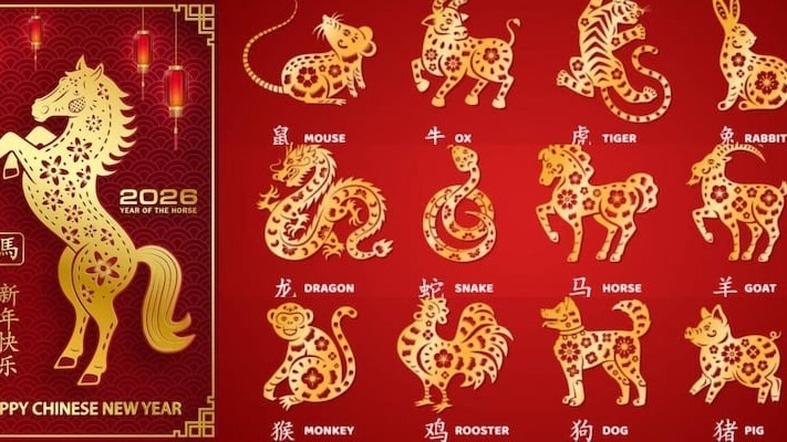 Caballo de Fuego 2026: cómo evitar el drama y reaccionar con éxito