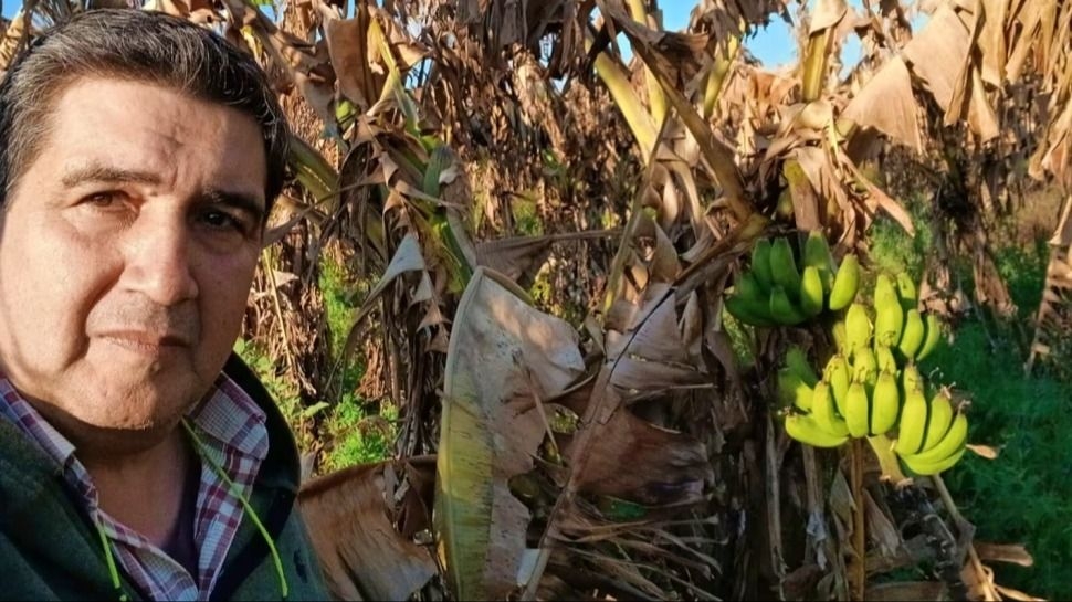 Productores bananeros cortan rutas y alertaron sobre su situación “terminal”