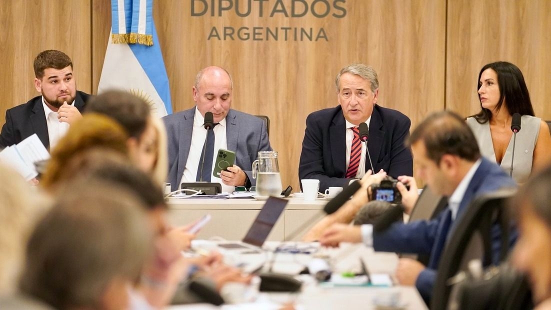 Audiencias por Ley de glaciares: predominan los inscriptos de Buenos Aires