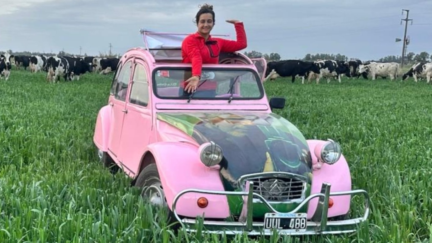 La fanática de Alejandro Sanz que pintó el auto con su cara y que lo persigue por todos lados