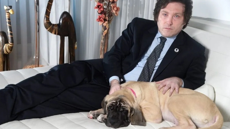 Murió uno de los clones de Conan, el histórico perro de Milei