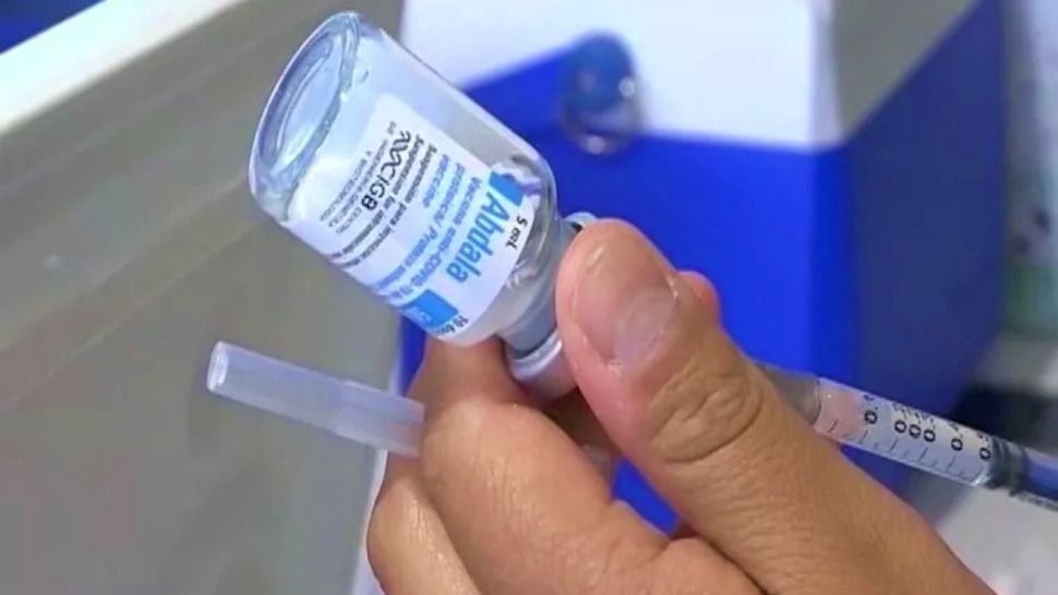  El Gobierno adelanta la campaña de vacunación antigripal por la variante H3N2