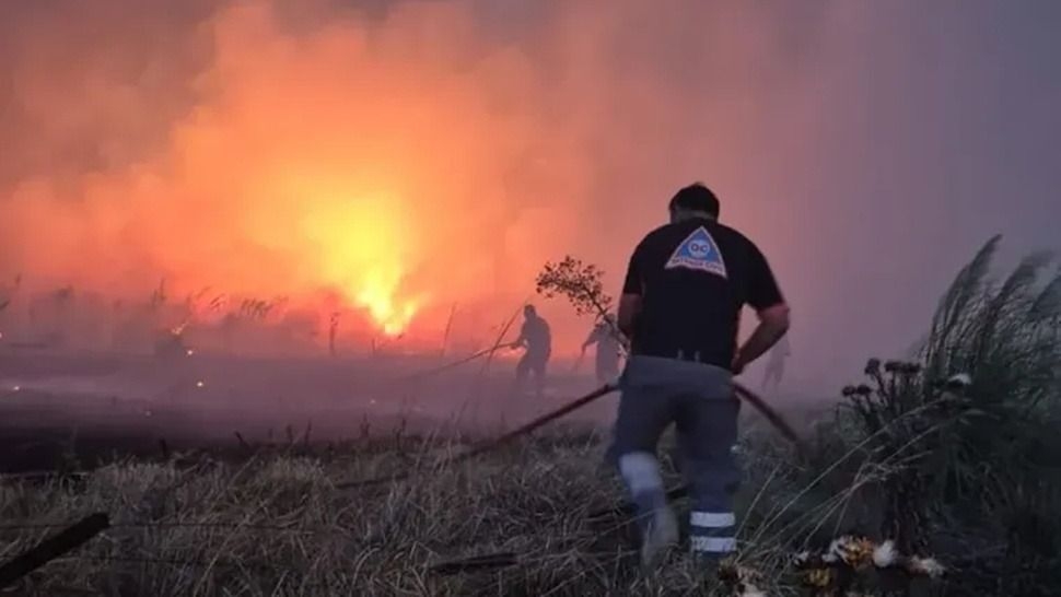 Un incendio forestal arrasó más de 200 hectáreas en Mar del Plata