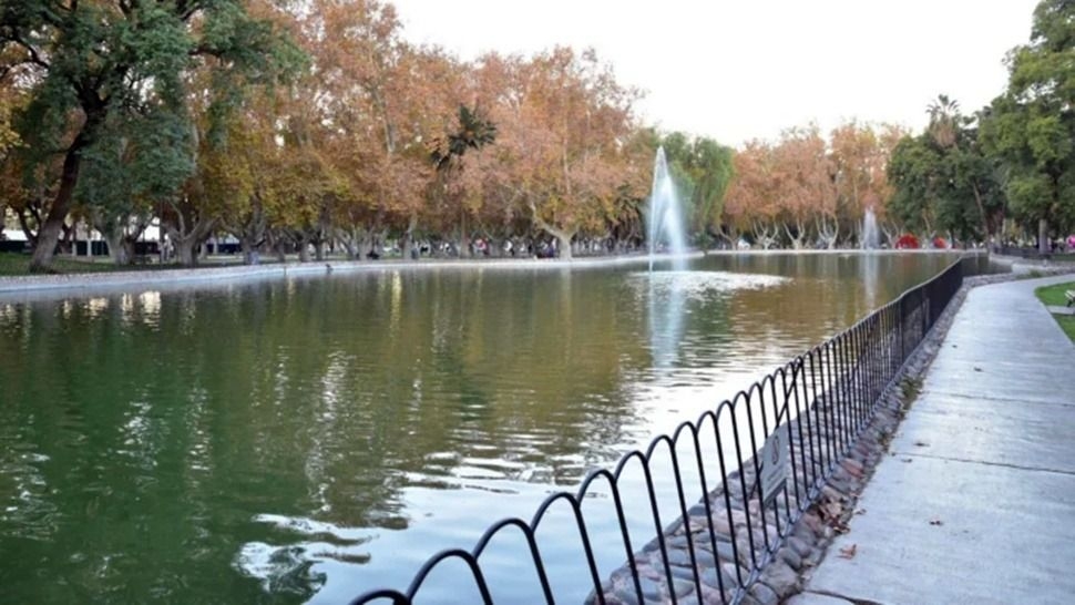 Trasladaron casi 900 peces del lago del Parque de Mayo