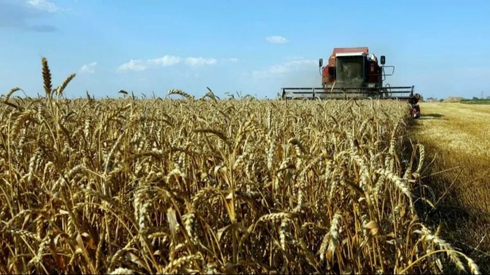 El agro proyecta exportaciones récord para este 2026