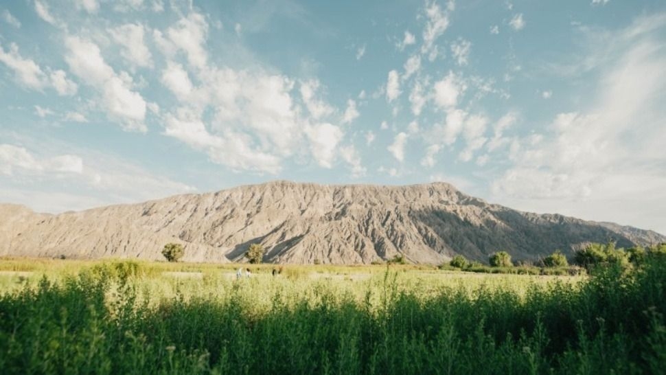 Cuáles son los nuevos horarios para visitar el Parque Sarmiento