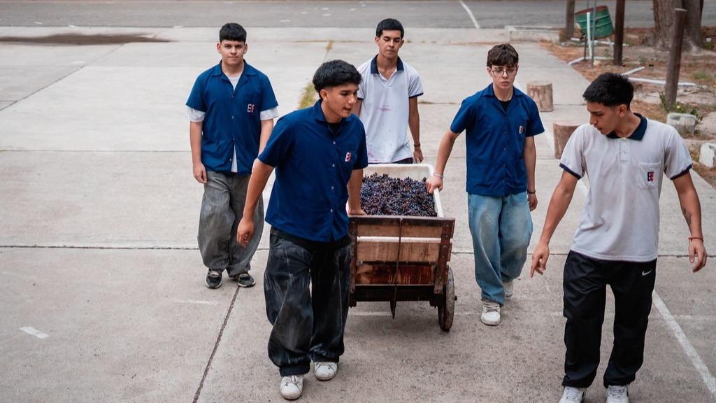 Tras siete años, la escuela de Enología reactivó su histórica bodega fundada por Sarmiento