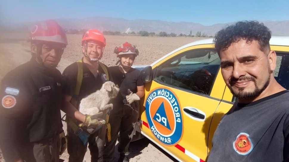 Rescataron a dos perros que cayeron a un reservorio de agua en Rawson