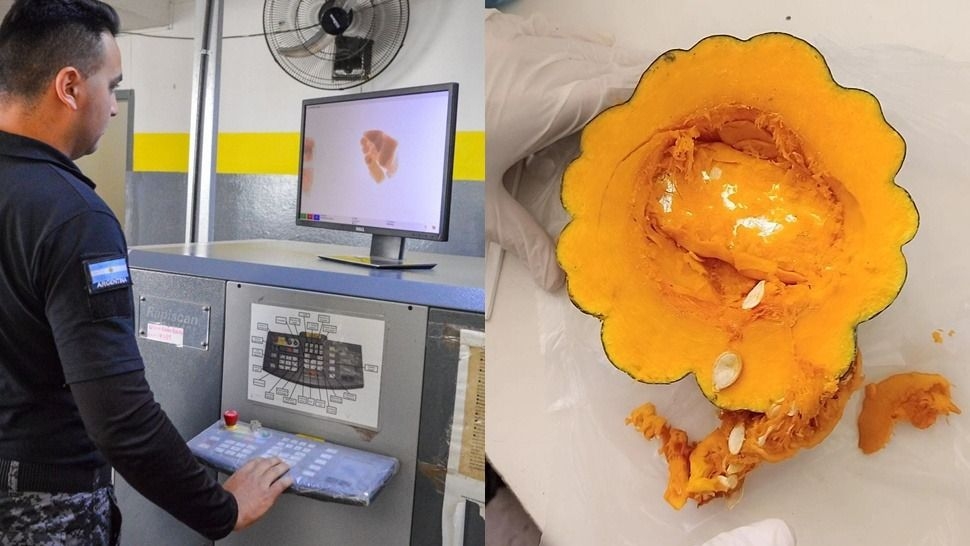  Intentaron ingresar un celular oculto en un zapallo en el penal de Chimbas