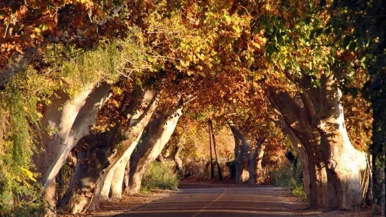 Aseguraron que San Juan tendrá un “otoño más caluroso de lo normal”
