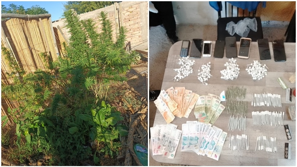 Dos allanamientos en Angaco: secuestraron marihuana y cocaína