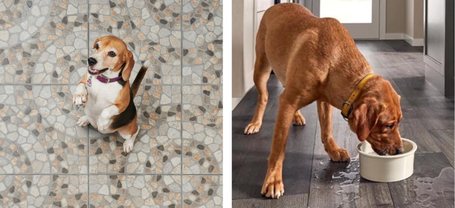 Decoración ideal para los amantes de las mascotas