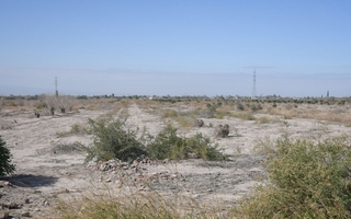 Estafas por lotes: la Justicia liberó al principal imputado