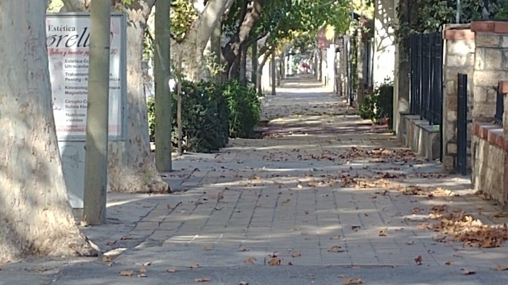 El SMN pronostica temperaturas elevadas para el cierre de marzo en la provincia