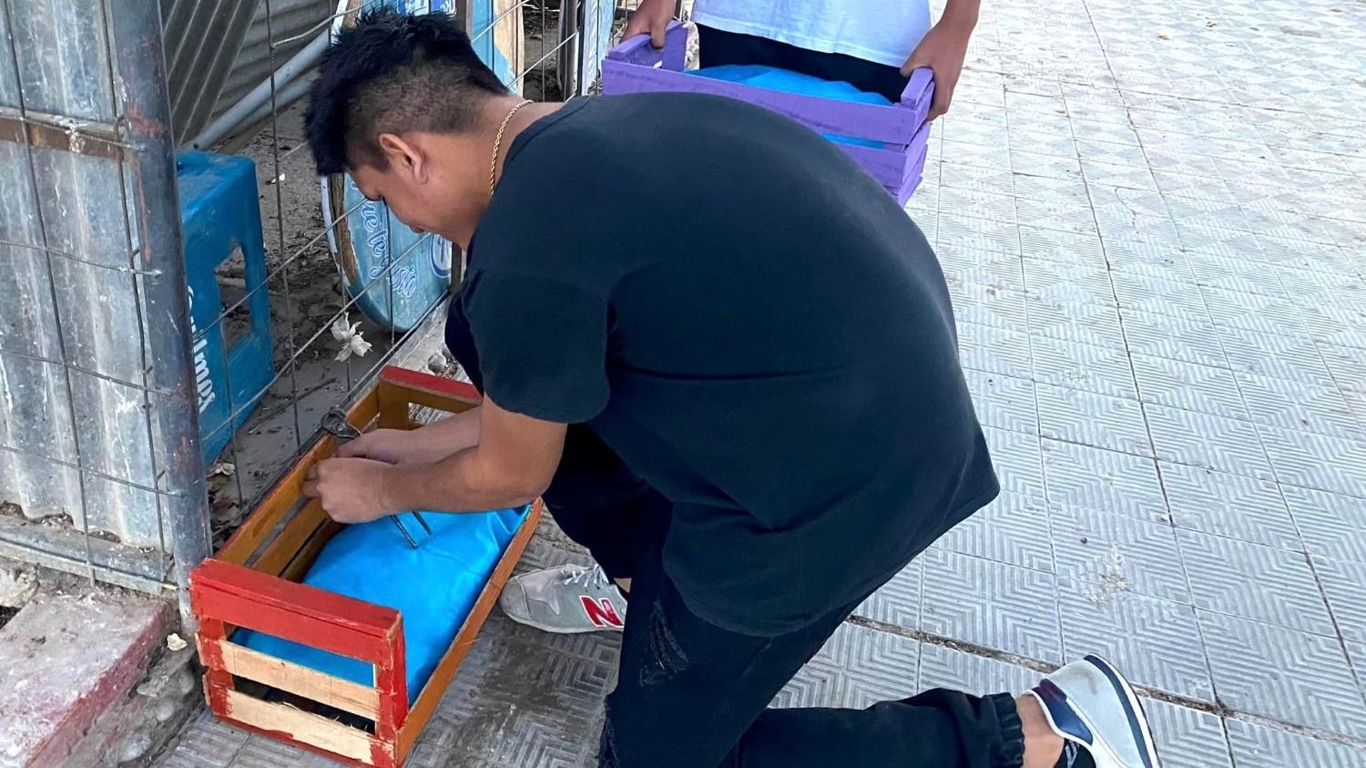 Gestos que emocionan: jóvenes de Caucete hicieron camas para perros de la calle