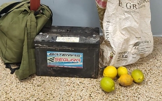 Un joven fue detenido por robar cinco limones y una batería