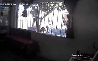 Video: el momento del ataque al changarín muerto en Pocito