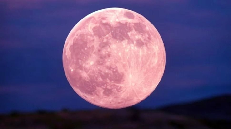 Como ver la Luna Rosa esta noche de miércoles 1 de abril en su punto máximo