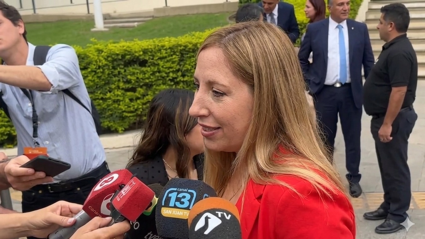 El pedido del Gobierno a los universitarios por el Boleto Escolar