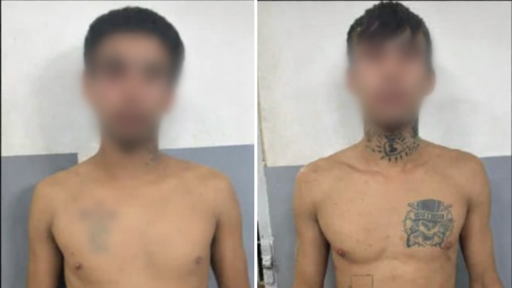 Dos hermanos detenidos tras agredir a la Policía en un operativo